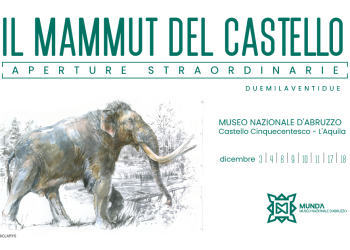 Tornano le aperture del Mammut, ingresso gratuito per “domenica al museo”