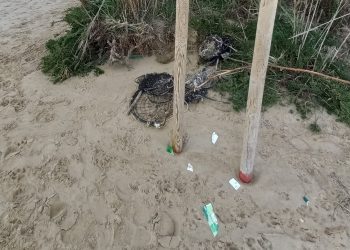 Ancora vandali nella Riserva Borsacchio, il presidente Borgatti lancia appello ai cittadini