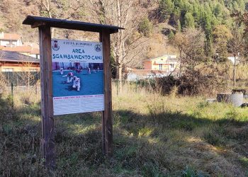 Popoli, Caruso (M5s): “Area sgambettamento cani deve essere ripristinata, raccolte oltre 200 firme”