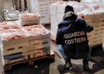 Controlli a tappeto della guardia costiera per il Natale: scatta l’operazione “Senza traccia”