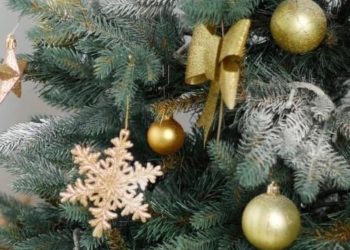 Valle Castellana festeggia il Natale con concerti, funzioni e iniziative per anziani