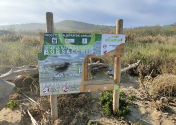 Riserva del Borsacchio, tornano a denunciare le Guide: “Da 18 anni senza gestione e fondi”