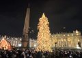 Inaugurato a Piazza San Pietro l’albero di Natale donato dall’Abruzzo