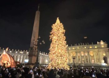 Inaugurato a Piazza San Pietro l’albero di Natale donato dall’Abruzzo