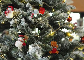 Consigli per la scelta dell’albero di natale