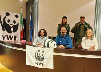 Il bilancio del Wwf: “Tanti risultati raggiunti ma ancora troppe minacce per la natura”