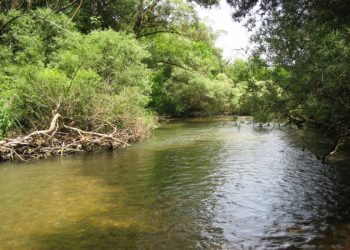 Aste fluviali, il Direttivo Upi Abruzzo: “sul tema, manca dialogo costruttivo con Regione”