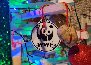 Ad Anversa un albero “Green”: in legno, addobbato dai bambini e con cibo per uccelli (Foto)