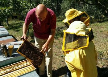 Gli apicoltori d’Abruzzo festeggiano la prima festa di Sant’Ambrogio, patrono delle api e del miele