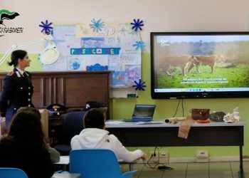 Ecco il calendario che racconta la storia degli animali in via di estinzione (Fotogallery)