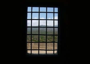 Perché “no” al 41 bis