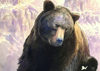 Morte Juan Carrito, Milo Manara omaggia in un disegno l’orso simbolo d’Abruzzo