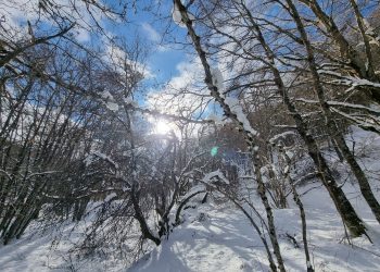 Abruzzo nella morsa del gelo: registrati -22,8° ai Piani di Pezza