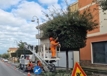 Giro d’Italia, San Salvo si prepara: potature alberi e decisioni sul piano sicurezza
