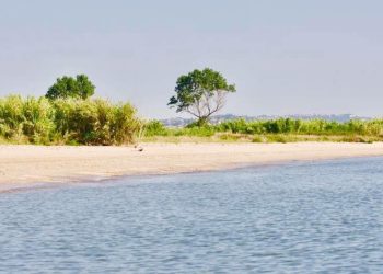 Roseto degli Abruzzi stanzia fondi per Pontile e Riserva del Borsacchio