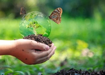 Ambiente: accordo Regione-Parco Sirente Velino per tutelare biodiversità e habitat naturali