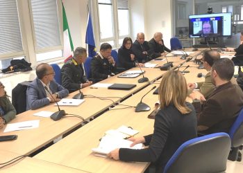 Incidenti stradali da fauna selvatica, incontro istituzionale all’Aquila per gestire il problema