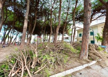 Partiti gli interventi di manutenzione e potatura straordinaria a Roseto degli Abruzzi
