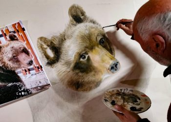 Ricordando Juan Carrito: a Venere di Pescina spunta il murales in omaggio all’amato orso abruzzese