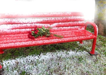 Sindaci del Medio Sangro incontrano la presidente della Commissione pari opportunità dell’Abruzzo