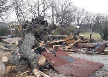L’Abruzzo perde un suo simbolo: cade la quercia delle streghe, aveva 4 secoli