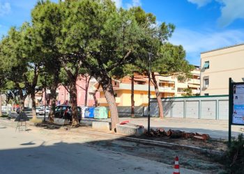 Le associazioni contro l’abbattimento degli alberi a Pescara: “Resteranno solo le fotografie?”