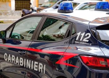 Non si ferma all’alt dei carabinieri e si schianta a tutta velocità contro un semaforo, denunciato