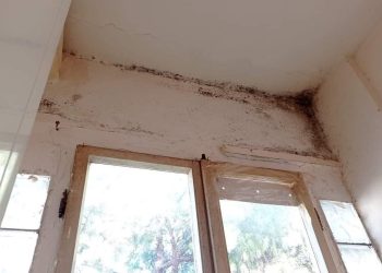 Disabile vive in una casa Ater fatiscente, Pettinari: “Regione e Comune intervengano”