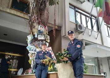 Nel giardino della caserma dei carabinieri arriva l’albero Falcone: per il futuro e per non dimenticare