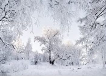 Meteo: dalla Russia arriva nocciolo gelido sul centro Italia, le previsioni per i prossimi giorni
