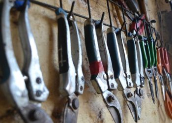 Attrezzi per una potatura perfetta