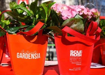 Uil Abruzzo sostiene la campagna dell’Aism per la ricerca sulla sclerosi multipla