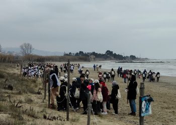 Puliamo la riserva del Borsacchio con il Wwf, record di partecipanti alla 14esima edizione