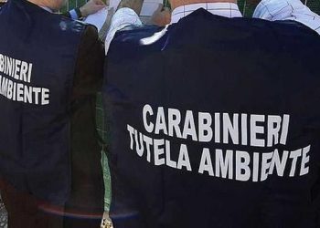 Traffico oli vegetali esausti, 8 indagati: perquisizioni e sequestri anche nel Pescarese