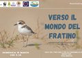 Salvaguardia del fratino, a Giulianova una giornata per la sensibilizzazione