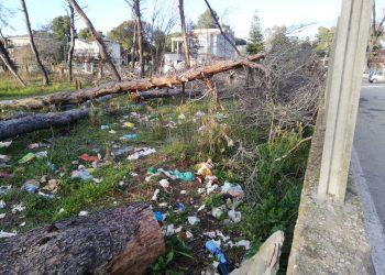 Riserva Pineta dannunziana, Conalpa lancia l’allarme: “Degrado e rifiuti, il Comune intervenga” (Fotogallery)