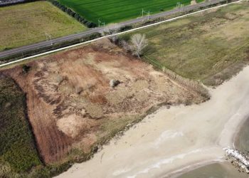 Torna il rischio di speculazione edilizia nella Riserva del Borsacchio