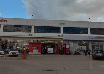 Capriolo finisce nel parcheggio di una concessionaria di Pescara e sbatte contro le vetrine