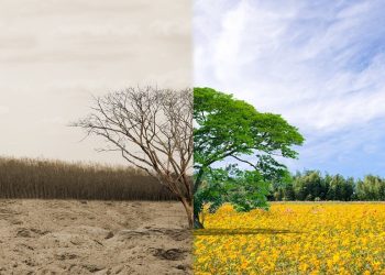 Emergenza idrica, il governo lavora a decreto per il supercommissario