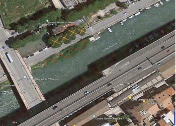 Alberi tagliati a Pescara, lo sfogo del biologo Damiani: “È guerra contro naturalità”