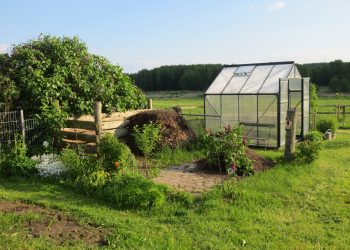 Qualche consiglio su come scegliere e gestire una serra per orticoltura e da giardino