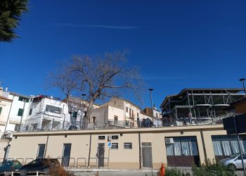 A Paglieta affidati i lavori di manutenzione del verde pubblico, i dettagli