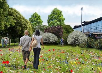 Riqualificazione area di risulta, Conalpa: il bosco non è un luogo ostile, è vita e migliora la città