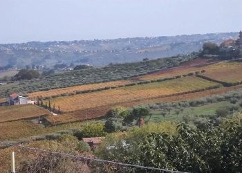 Seminario sugli usi civici a Chieti: Consiglio regionale insieme al Collegio dei geometri