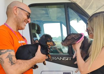Sicurezza stradale: riparte il Pet camper a Sulmona contro l’abbandono degli animali