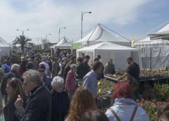 Conclusa la 45esima edizione della Mostra del Fiore Florviva: grande successo e migliaia di visitatori
