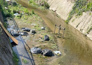Discarica a cielo aperto a Fosso Vallelunga, il Wwf: “Venga punito chi abbandona rifiuti” (Fotogallery)