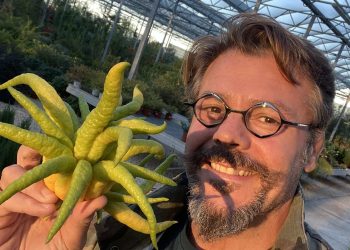 Il “Barone” Lo Cicero all’Isola dei Famosi, l’ex giocatore dell’Aquila Rugby in partenza per l’Honduras