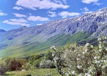 Torna la rivista La Perdonanza, spiritualità e cultura all’insegna di Celestino