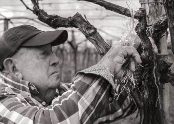 Vinitaly, Cantina Ulisse: grazie alle istituzioni che hanno visitato lo “Spazio Abruzzo”